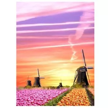 Полный 5D Diy Алмазная картина Пейзаж Цветочная мозаика Вышивка Крестом Домашний декор Ручная работа 25x30cm
