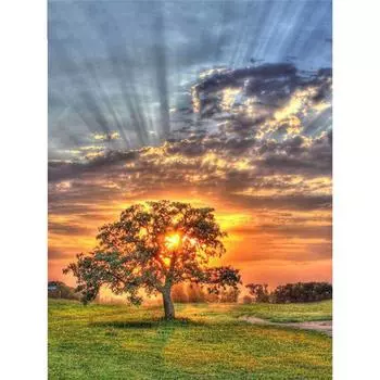 Полный 5D Diy Алмазная картина Пейзаж Дерево Мозаика Вышивка Крестом Домашний Декор Ручной подарок 25x30cm