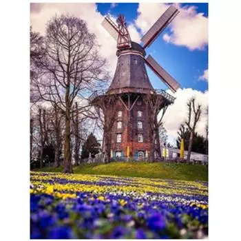 Полный 5D Diy Алмазная картина Пейзаж Ветряная мельница Вышивка Крестом Домашний декор Ручной подарок Подарок 25x30cm