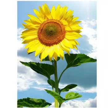 Полный 5D Diy Алмазная картина Подсолнух Мозаика Вышивка Крестом Домашний Декор Ручной Подарок 20X25CM
