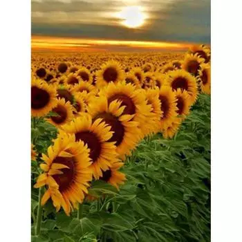 Полный 5D Diy Алмазная картина Подсолнух Солнце Вышивка Крестом Домашний Декор Ручной Подарок 25x30cm