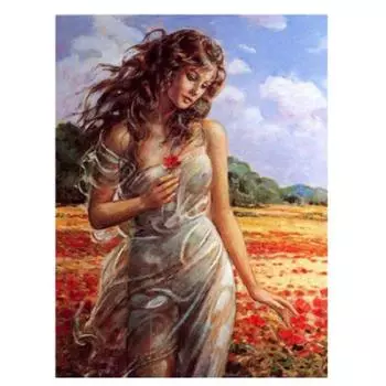 Полный 5D Diy Алмазная картина Поле девушка Алмазная вышивка Крестом Домашний декор Ручной подарок Подарок 25x30cm