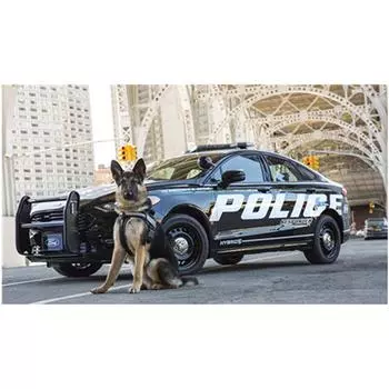 Полный 5D Diy Алмазная картина Полицейская машина с собакой Алмазная вышивка Крестом Домашний декор Ручная работа 25x30cm