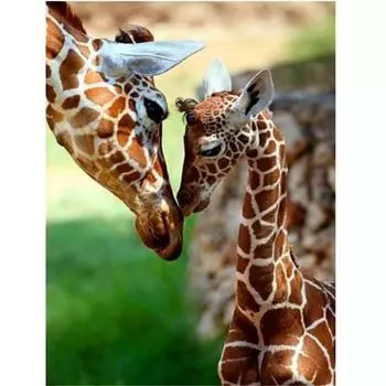 Полный 5D Diy Алмазная картина Прерия Жираф Алмазная вышивка Полный набор аниме Наборы для вышивки крестом Домашний декор Подарок ручной работы Round 20x30cm