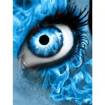 Полный 5D Diy Алмазная картина Причудливые глаза Дрель Вышивка Крестом Домашний Декор Подарок ручной работы 25x30cm
