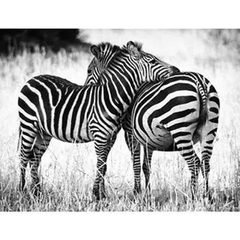 Полный 5D Diy Алмазная картина Прижимающаяся Зебра Вышивка Крестом Домашний Декор Ручной Подарок 25x30cm