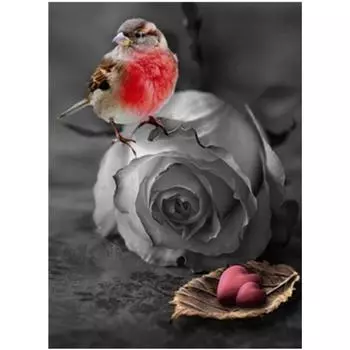 Полный 5D Diy Алмазная картина Птица и Сердце Вышивка Крестом Домашний Декор Ручной Подарок 20X25CM