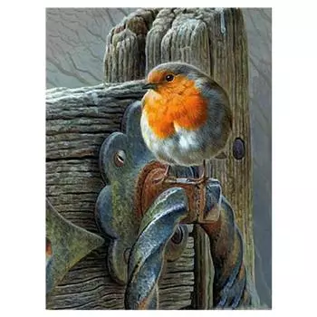 Полный 5D Diy Алмазная картина Птица стоящая на месте Вышивка крестиком Домашний декор Подарок ручной работы 25x30cm