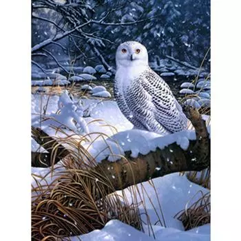Полный 5D Diy Алмазная картина Птицы в снегу Вышивка крестом Домашний декор Ручной подарок Подарок 25x30cm