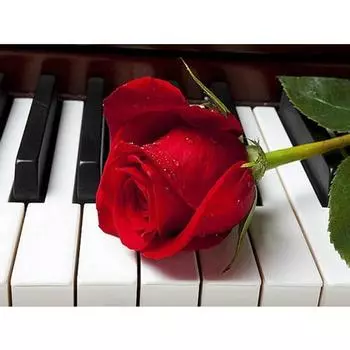 Полный 5D Diy Алмазная картина Роза на фортепиано Алмазная вышивка Крестом Домашний декор Подарок ручной работы 25x30cm