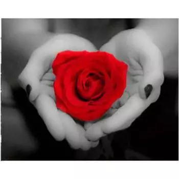 Полный 5D Diy Алмазная картина Роза в руке Алмазная вышивка Крест Стежок Главная Декор Ручной подарок 20x30cm