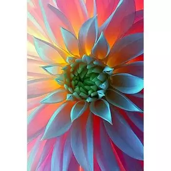 Полный 5D Diy Алмазная картина Розовые лепестки Алмазная вышивка Полный набор аниме Наборы для вышивки крестом Домашний декор Подарок ручной работы Round 20x30cm