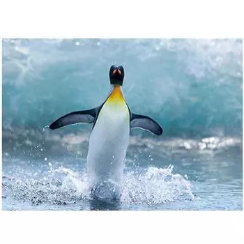 Полный 5D Diy Алмазная картина Счастливый Пингвин Алмазная вышивка Крест Стежок Главная Декор Ручной подарок 25x30cm