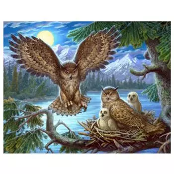 Полный 5D Diy Алмазная картина Семья совы Алмазная вышивка Наборы крестиков Домашний декор Подарок ручной работы 20x30cm
