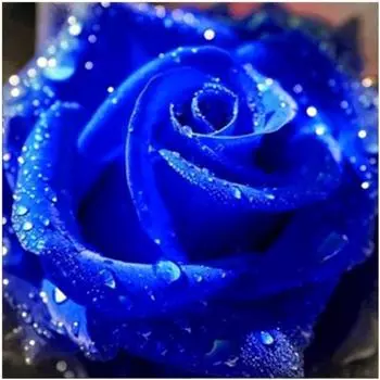 Полный 5D Diy Алмазная картина Синий Демон Девушка Вышивка Крестом Домашний Декор Ручной Подарок 25x25cm