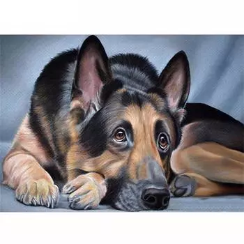 Полный 5D Diy Алмазная картина Скучная собака Мозаика Вышивка Крестом Домашний декор Ручной подарок Подарок 25x30cm