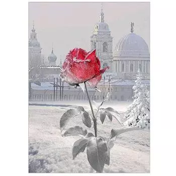 Полный 5D Diy Алмазная картина Снежная Роза Вышивка Крестом Домашний Декор Ручной Подарок 25x30cm