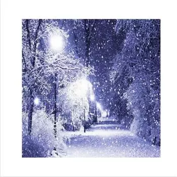 Полный 5D Diy Алмазная картина Снежный лес Алмазная вышивка Наборы для вышивки крестом Домашний декор Подарки ручной работы Round 25x25cm