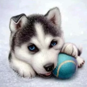 Полный 5D Diy Алмазная картина Собака кусает мяч Вышивка Крестом Домашний декор Ручной подарок Подарок 25x25cm