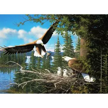 Полный 5D Diy Алмазная картина Сокол Самонаводящаяся вышивка Крест Стежок Главная Декор Ручной подарок 25x30cm