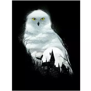 Полный 5D Diy Алмазная картина Сова Алмазная вышивка Полный набор аниме Наборы для вышивки крестом Домашний декор Подарок ручной работы Round 20x30cm