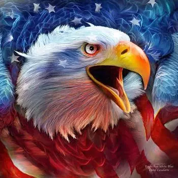 Полный 5D Diy Алмазная картина Сова Алмазная вышивка Полный лежал вышивка крестом Домашний декор Ручной подарок 25x25cm