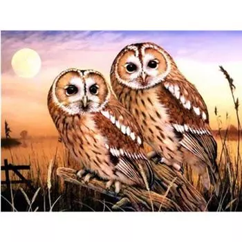 Полный 5D Diy Алмазная картина Сова на закате Вышивка крестом Домашний декор Ручной подарок Подарок 25x30cm