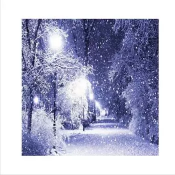 Полный 5D Diy Алмазная картина Сумерки Снежная сцена Вышивка Крестом Домашний декор Подарок ручной работы 25x25cm