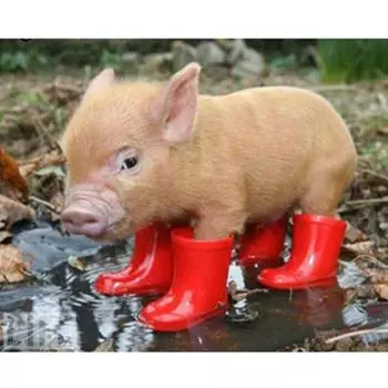 Полный 5D Diy Алмазная картина Свинья в резиновых сапогах Вышивка крестиком Домашний декор Подарок ручной работы 25x30cm