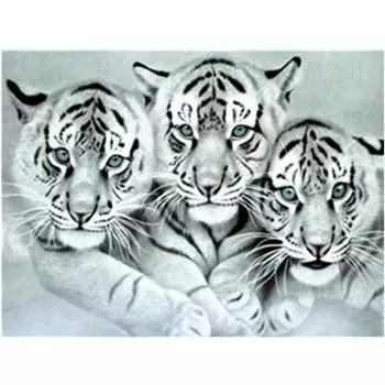 Полный 5D Diy Алмазная картина Три белых тигра Вышивка крестом Домашний декор Ручной подарок Подарок 25x30cm
