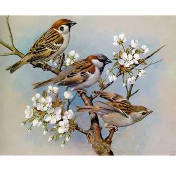 Полный 5D Diy Алмазная картина Три маленьких птички Алмазная вышивка Полный вышивка крестиком Домашний декор Подарок ручной работы 20x30cm