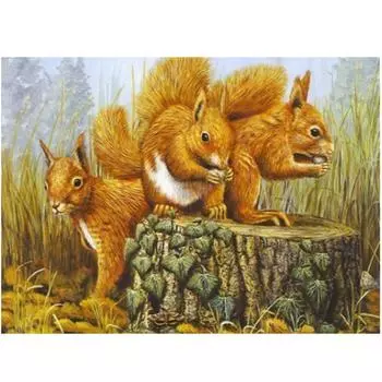 Полный 5D Diy Алмазная картина Три маленьких белка Вышивка крестиком Домашний декор Подарок ручной работы 25x30cm