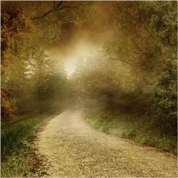 Полный 5D Diy Алмазная картина Туманный лесной пейзаж Вышивка крестиком Домашний декор Подарок ручной работы 25x25cm