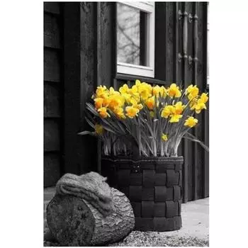 Полный 5D Diy Алмазная картина Уголок Цветочная корзина Вышивка Крестом Домашний декор Подарок ручной работы 20X25CM