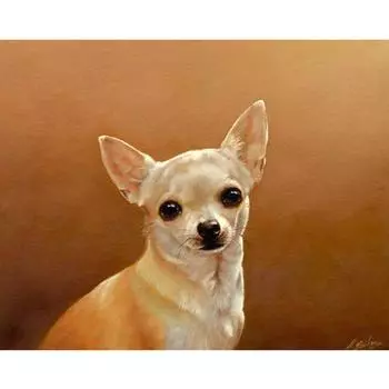 Полный 5D Diy Алмазная картина Умный щенок Алмазная вышивка Полный вышивка крестом Домашний декор Подарок ручной работы 20x30cm