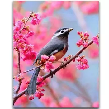 Полный 5D Diy Алмазная картина Весенняя Сорока Вышивка Крестом Домашний Декор Ручной Подарок 20X25CM