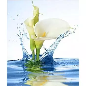 Полный 5D Diy Алмазная картина Водяная лилия Алмазная вышивка Полный лежал вышивка крестом Домашний декор Подарок ручной работы 20x30cm