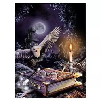 Полный 5D Diy Алмазная картина Волшебная книга Алмазная вышивка Полный набор аниме Наборы для вышивки крестом Домашний декор Подарок ручной работы 20x30cm