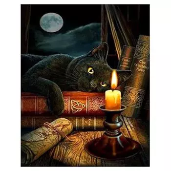 Полный 5D Diy Алмазная картина Волшебный кот Алмазная вышивка Полный набор аниме Наборы для вышивки крестом Домашний декор Подарок ручной работы 20x30cm