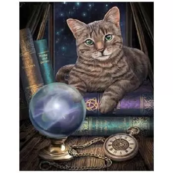 Полный 5D Diy Алмазная картина Волшебный кот Алмазная вышивка Полный набор аниме Наборы для вышивки крестом Домашний декор Подарок ручной работы 20x30cm