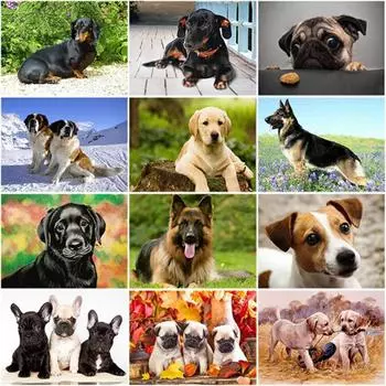 Полный 5D Diy Алмазная картина Все виды собак Алмазная вышивка Наборы крестиков Домашний декор Подарок ручной работы 20x30cm
