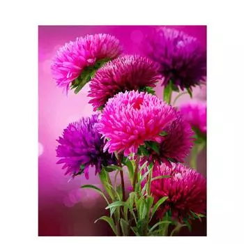 Полный 5D Diy Алмазная картина Яркие цветы Мозаика Вышивка Крестом Домашний декор Подарок ручной работы 20X25CM