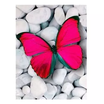 Полный 5D Diy Алмазная картина Ярко-красная бабочка Вышивка крестом Домашний декор Подарок ручной работы 25x30cm