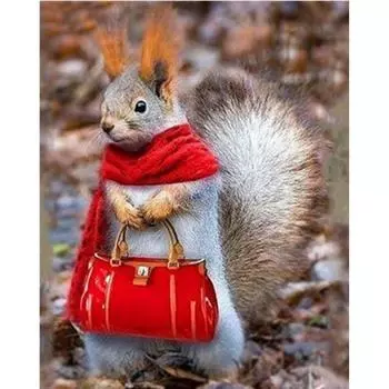 Полный 5D Diy Алмазная картина Забавная белка Вышивка Крестом Главная Декор Ручной подарок 25x30cm