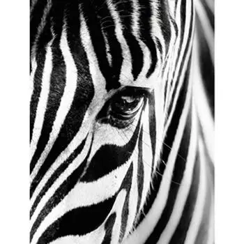 Полный 5D Diy Алмазная картина Зебра Глаза Вышивка Крестом Домашний Декор Ручной Подарок 25x30cm