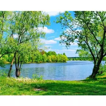 Полный 5D Diy Алмазная картина Зеленая ива прямо Вышивка крестиком Домашний декор Подарок ручной работы 25x30cm