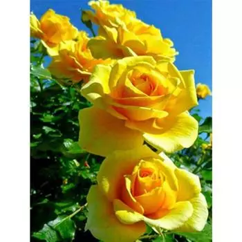 Полный 5D Diy Алмазная картина Желтый цветок Алмазная вышивка Крестом Домашний декор Подарок ручной работы 25x30cm