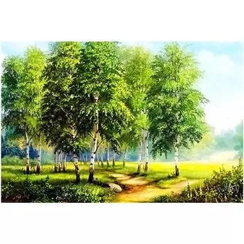 Полный 5D Diy Алмазная картина Живописный лес Алмазная вышивка Крестом Домашний декор Подарок ручной работы 25x30cm