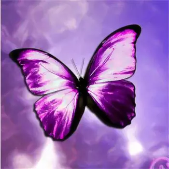 Полный 5D Diy Алмазная картина Животное Бабочка Вышивка Крестом Домашний Декор Ручной Подарок 25x25cm