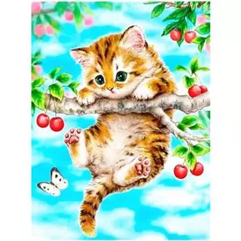 Полный 5D Diy Алмазная картина Животное Кошка Алмазная вышивка Крест Стежок Главная Декор Ручной подарок 25x30cm